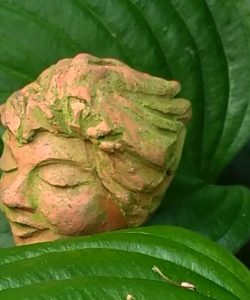 IMG_20190610_094731A