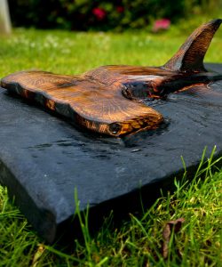 WhatsApp Image 2026-03-05 at 18.41.30